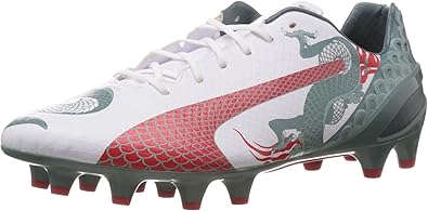 puma evospeed graphic