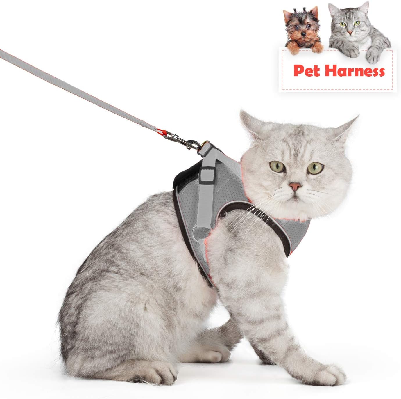 SENYE PET Cat Harness Escape Proof Small Cat and Dog Soft Mesh Vest Harnesses Adjustable Pet Harness with Leash Clip & Reflective Strap Cat Walking Jacket Comfort Fit for Kitten Puppy