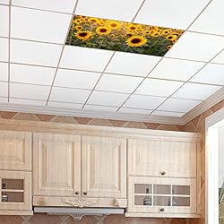 Drop Ceiling Light Covering Insert 4' x 2' feet