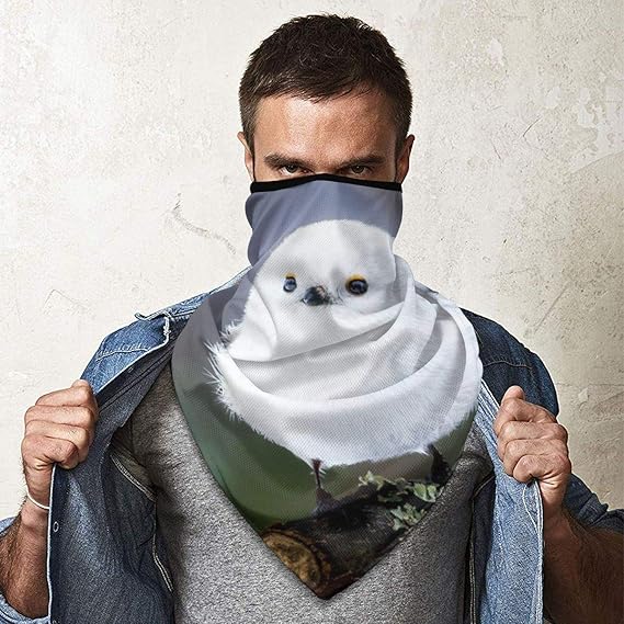 Amazon シマエナガ かわいい 鳥 雪 北海道 ネックウォーマー 防風 多機能 夏 冬 防寒 速乾 息苦しくない 伸縮性 Uvカット 防寒 スキー スノボ 登山 ウィンタースポーツバイク ネックウォーマー 通販