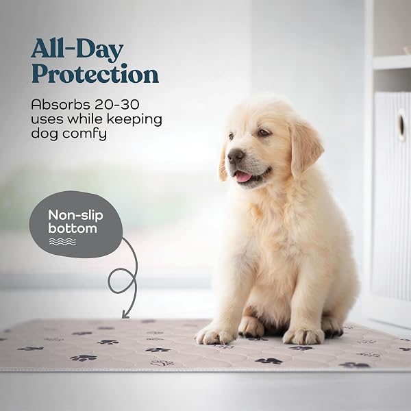 SUPER ABSORBENT WASHABLE PEE PADS FOR DOGS – 2-PACK SUPERIOR REUSABLE PUPPY PADS PET TRAINING PADS –100% WATERPROOF DOG PEE PAD PROTECTS AGAINST URINE LEAKAGE NON-SLIP GRIP PREVENTS SLIPPING& BUNCHING