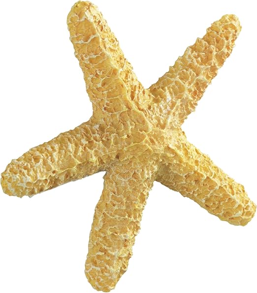 Download Seestern bad dekor For iPhone