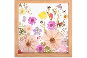 fanhuashijn Clear Pressed Flower Frame - Dried Flower Frame Adult Girls Night Crafts for Women Mother Gift (Pink-1, Medium)