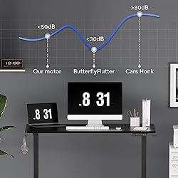 FLEXISPOT Standing Desk Electric Height Adjustable