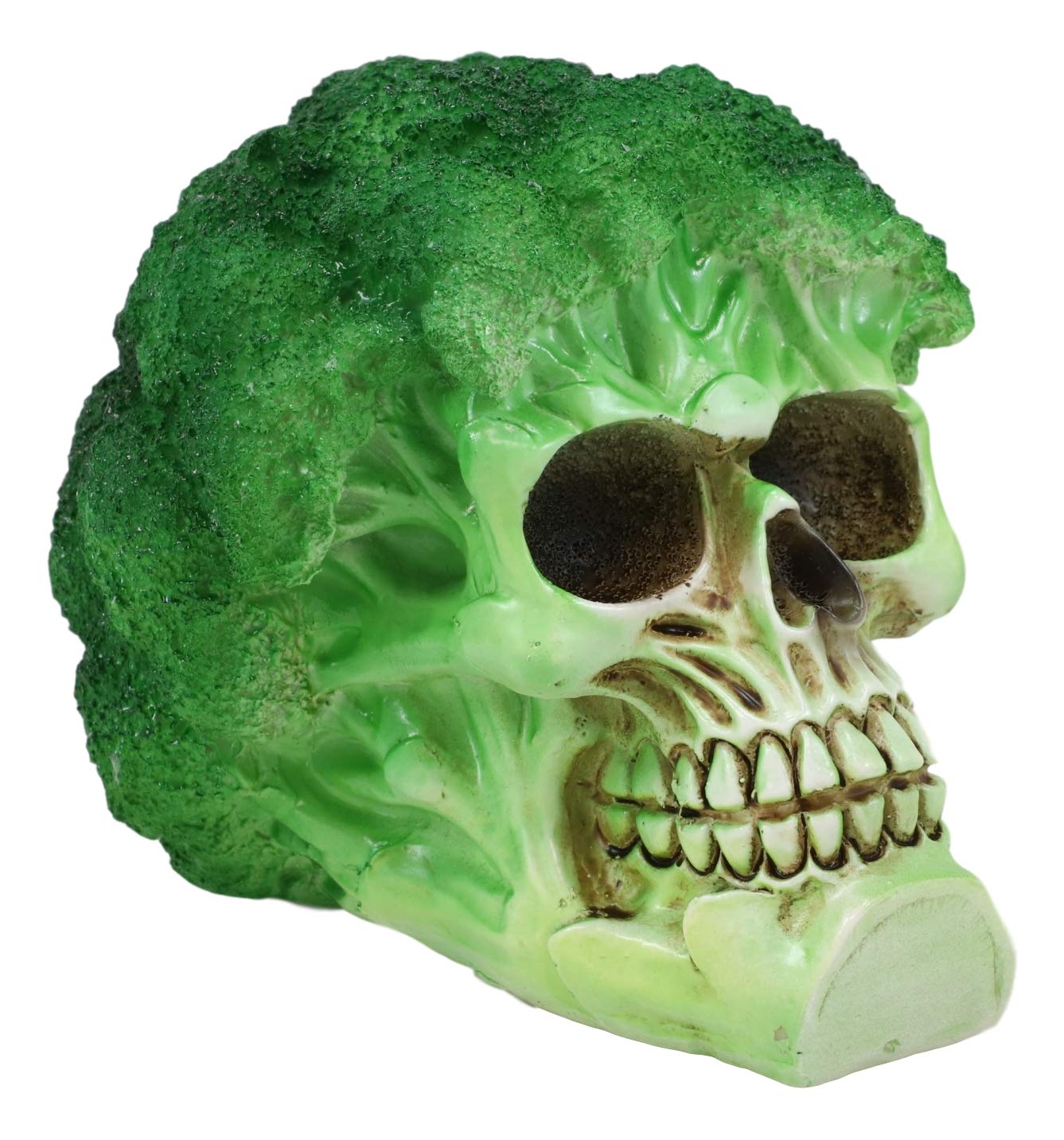 Ebros Green Vegetable Produce Sprouting Broccoli Skull Statue 6.25" Long Healthy Eating Salad Themed Skeleton Head Cranium Bizarre Ossuary Macabre Halloween Decorative Figurine (Broccoli Floret)