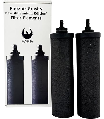 Amazon.com: Set of 2 Berkey Authentic Black Berkey Elements (BB9-2