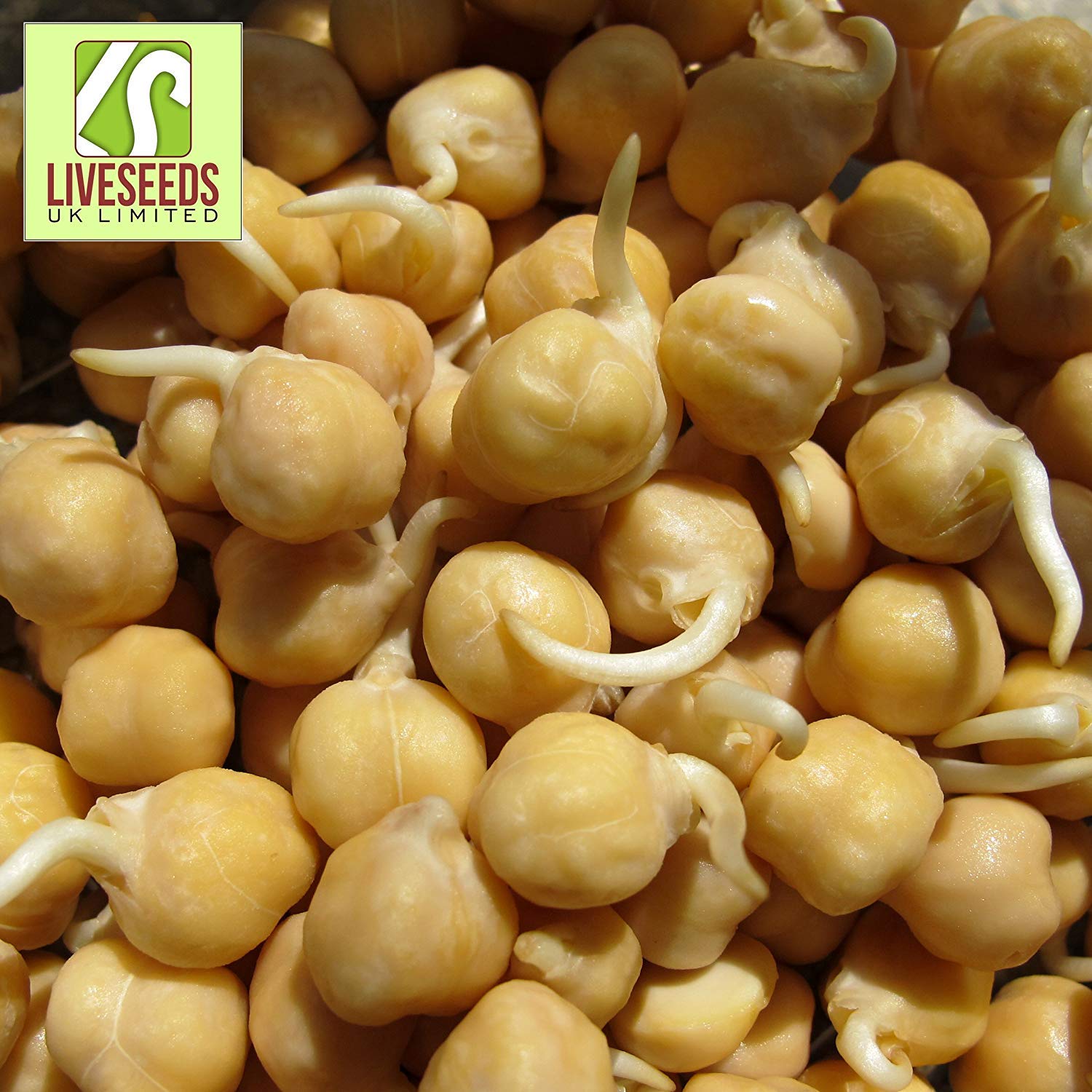 Shop Meeko 750g: Liveseeds - Semillas de garbanzo B Coles de 500g ...