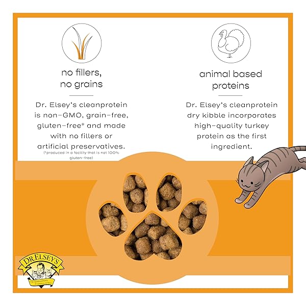 DR. ELSEY’S CLEANPROTEIN TURKEY CAT KIBBLE 2 LB. BAG