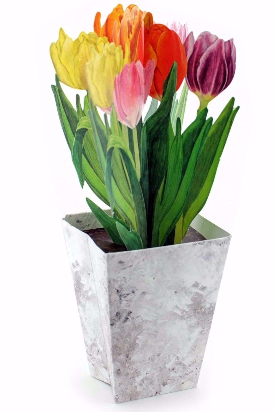POP-UP CARD PAPER TULIPS: A folded 3-D-card of colourful tulips in a flower pot - they can easily stand on your table - a nice spring greeting card