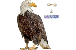 Bird Repellent Devices Outdoor, 12x8in Realistic Hanging Hawk Decoy with Bell & Reflective Ribbon Feral Eagle for Trees Plant