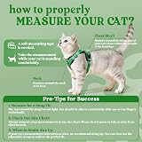 rabbitgoo Cat Harness and Lead Set XS Grass Green Adjustable Escape Proof view 2