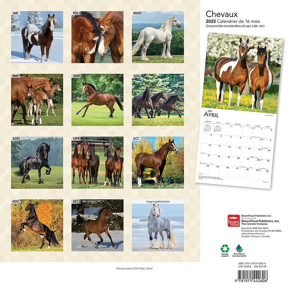 Calendrier Chevaux 2023 Chevaux 2022 12 X 12 Inch Monthly Square Wall Calendar With Foil Stamped  Cover, Animals Horses Equestrian (French Edition): Browntrout Publishers  Inc., Browntrout Publishers Editing Team, Browntrout Publishers Design  Team, Browntrout Publishers