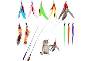 Hianjoo Feather Teaser Cat Toy Set 12 pcs, Interactive Toys for Cats 2 Retractable Cat Wand Funny Sticks and 10 Replacement F