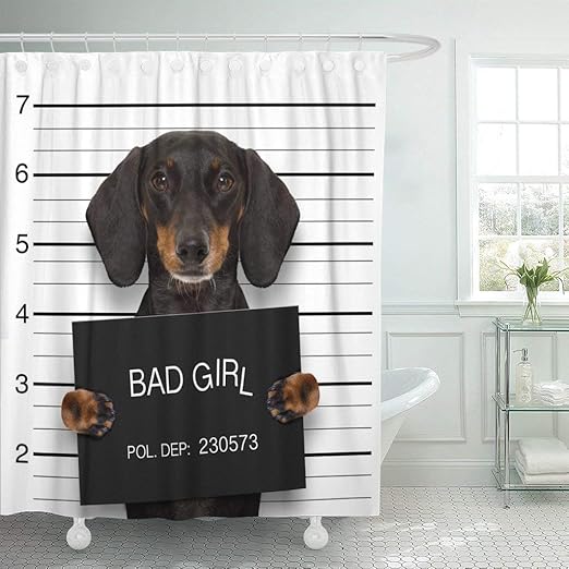 Amazon Com Abaysto Dachshund Sausage Dog Holding Police Department As Mugshot At Bathroom Decor Shower Curtain Sets With Hooks Polyester Fabric Great Gift Home Kitchen