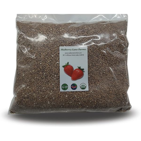 Karnaval Braziliya seks video Toplarga uzuklarni qanday qoyish kerak (porno fotosurat)