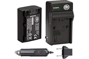BIG MIKE'S NP-FV50 Battery and Battery Charger for Sony DCR-SX44 DCR-SX45 HDR-PJ200 HDR-PJ230 HDR-PJ380 HDR-PJ430V HDR-PJ650V HDR-PV790V HDR-TD30V Handycam Camcorder + More!!