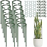 Ferrochef 24 Pack Plants Support Stakes Half Round Plant Stakes with 12 Vine Clips and 12 Gourd Shaped Clips for Indoor Plants Plant Cages for Tomato Monstera Peony Hydrangea Climbing Vegetables