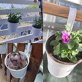 KINGLAKE 10Pcs 10cm Metal Hanging Plant Pots with Detachable Hook White Fence view 6