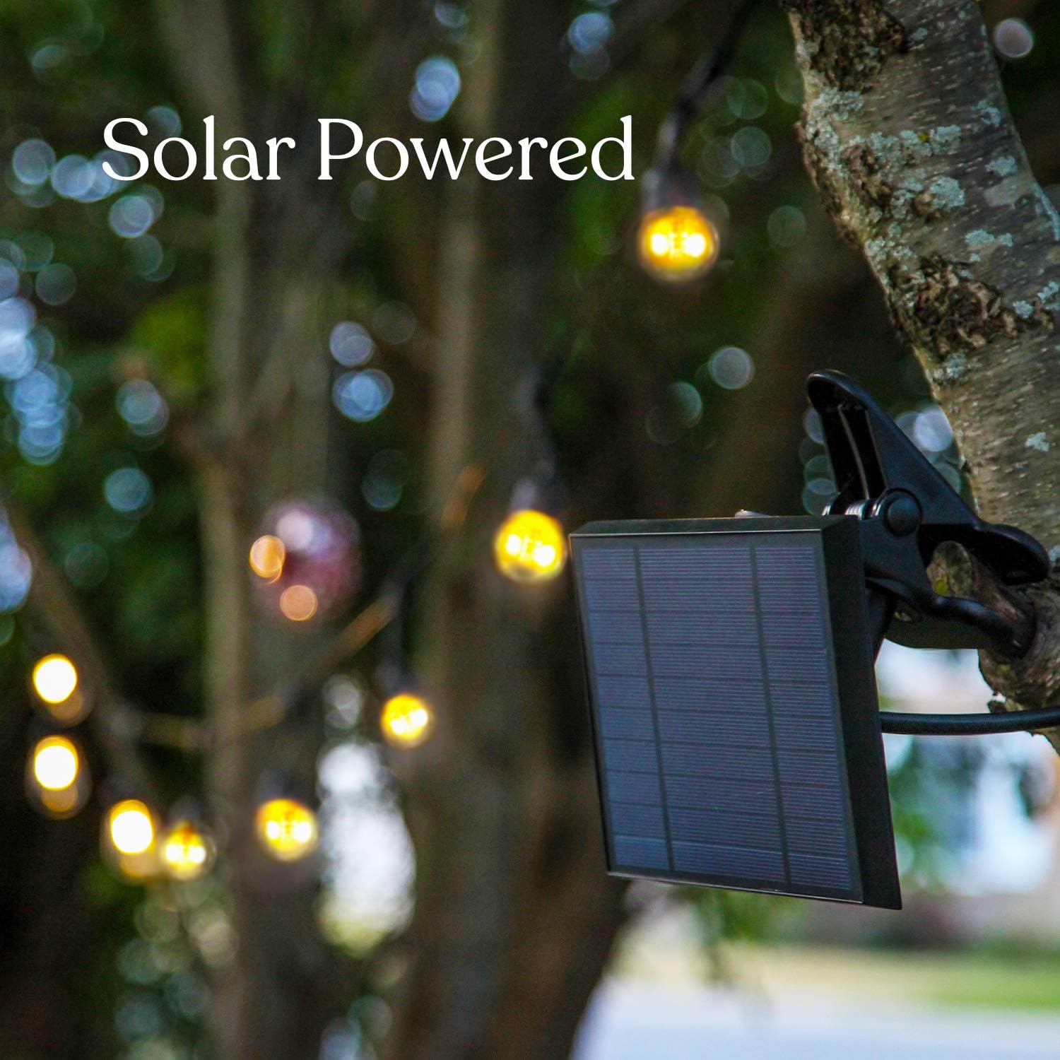 Brightech Ambience Pro - Waterproof, Solar Powered Outdoor String Lights - 48 Ft Vintage Edison Bulbs Create Bistro Ambience On Your Patio - Commercial Grade, Shatterproof - 1W LED, Soft White Light - - 