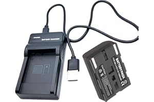 Battery Pack and USB Travel Charger for Samsung SC-D80, SC-D86, SC-D87 Digital Video Camcorder