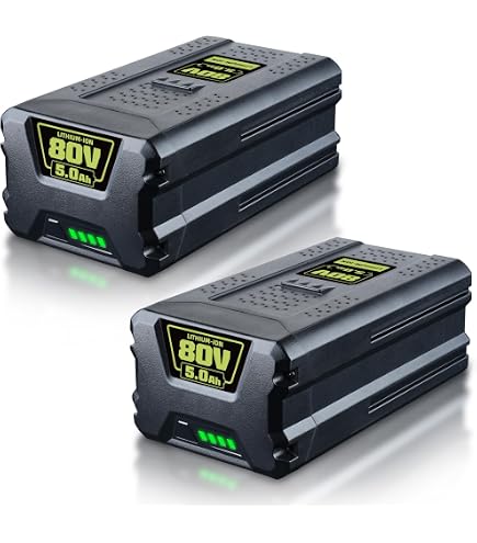 Amazon.com: 5000mAh 2Packs 80V Replacement for Greenworks 80V