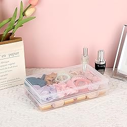 BTSKY Clear Plastic Storage Box with Flap