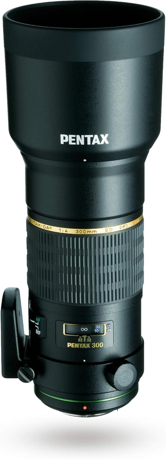 レビュー】smc PENTAX-DA* 300mm F4 ED[IF]SDMは買いのレンズか