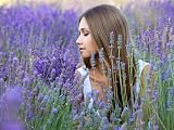 TooGet Culinary Dried Lavender Buds 4 OZ Highland Grow Flowers Ultra Blue view 7