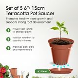 Whitefurze G04118 Garden Pot Saucer 12.7/15cm Terracotta Set of 5 view 2