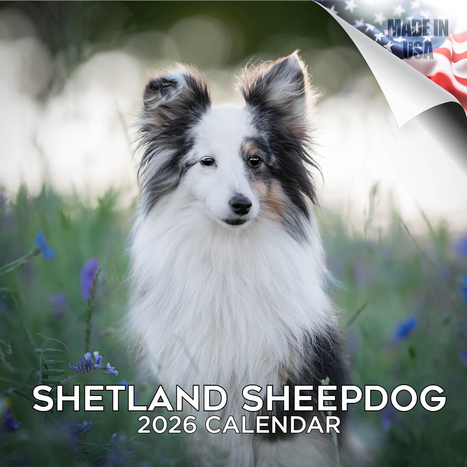 2024 2025 Shetland Sheepdog Calendar - Dog Breed Monthly Wall Calendar - 12 x 24 Open - Thick No-Bleed Paper - Giftable - Academic Teacher's Planner Calendar Organizing & Planning - Made in USA