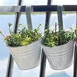 KINGLAKE 10Pcs 10cm Metal Hanging Plant Pots with Detachable Hook White Fence view 5