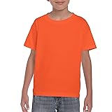 Gildan unisex child Dryblend Youth T-shirt, 2-pack