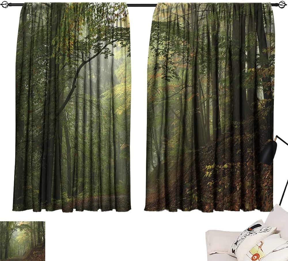 Bedroom Windproof Curtain Forest Misty Autumn Forest with Shaded Trees