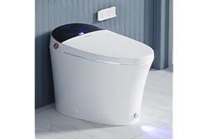 Casta Diva Smart Toilet with Tank, Foam Dispenser, Soft-Close Lid, Foot Kick & Off-seat Auto Flush, Heated Seat, Warm Water & Dryer, Blackout Flush, 1.06 GPF Digital Display with Remote(CD-Y010L)