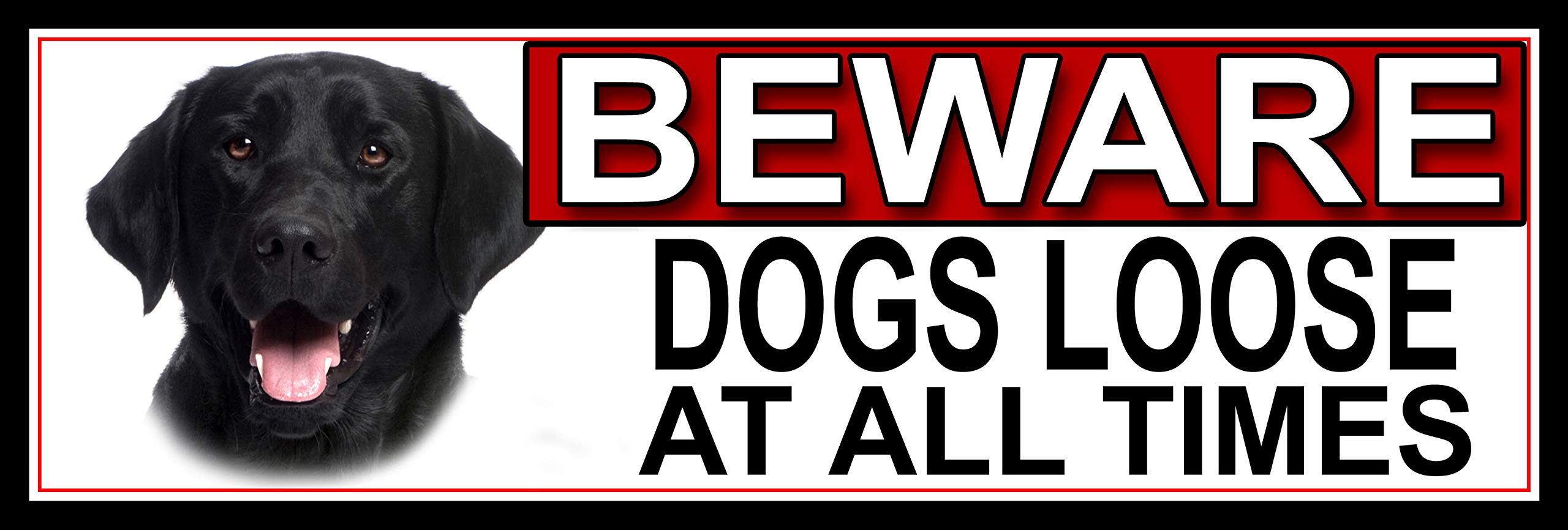 SHAWPRINT Border Collie BEWARE DOGS LOOSE AT ALL TIMES METAL GATE SIGN 266mm x 87mm. (368H2)