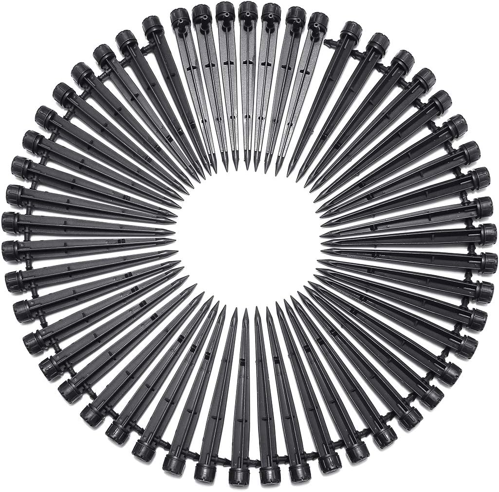 Best King Bird Garden Bed