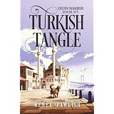 Turkish Tangle (The Evelyn Chambers Senior Spy Series)
