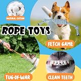 Speedy Panther 10 Pack Luxury Dog Toys Teething Small Dogs Puppy Chew Set view 4