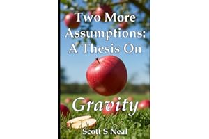 Two More Assumptions: A Thesis On Gravity (Antimatter Assumption)