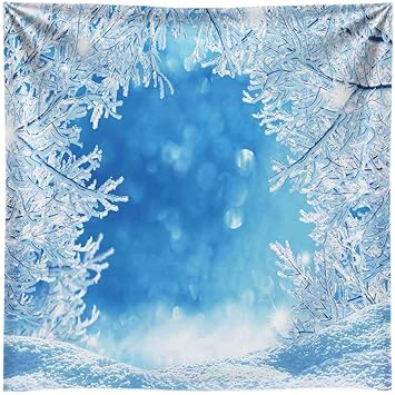 Amazon Com Funnytree 8x8ft Durable Fabric Soft Winter Forest Path Backdrop Frozen Ice Snow Bokeh Background Christmas Eve Party Banner Photo Booth Decoration Washable Camera Photo