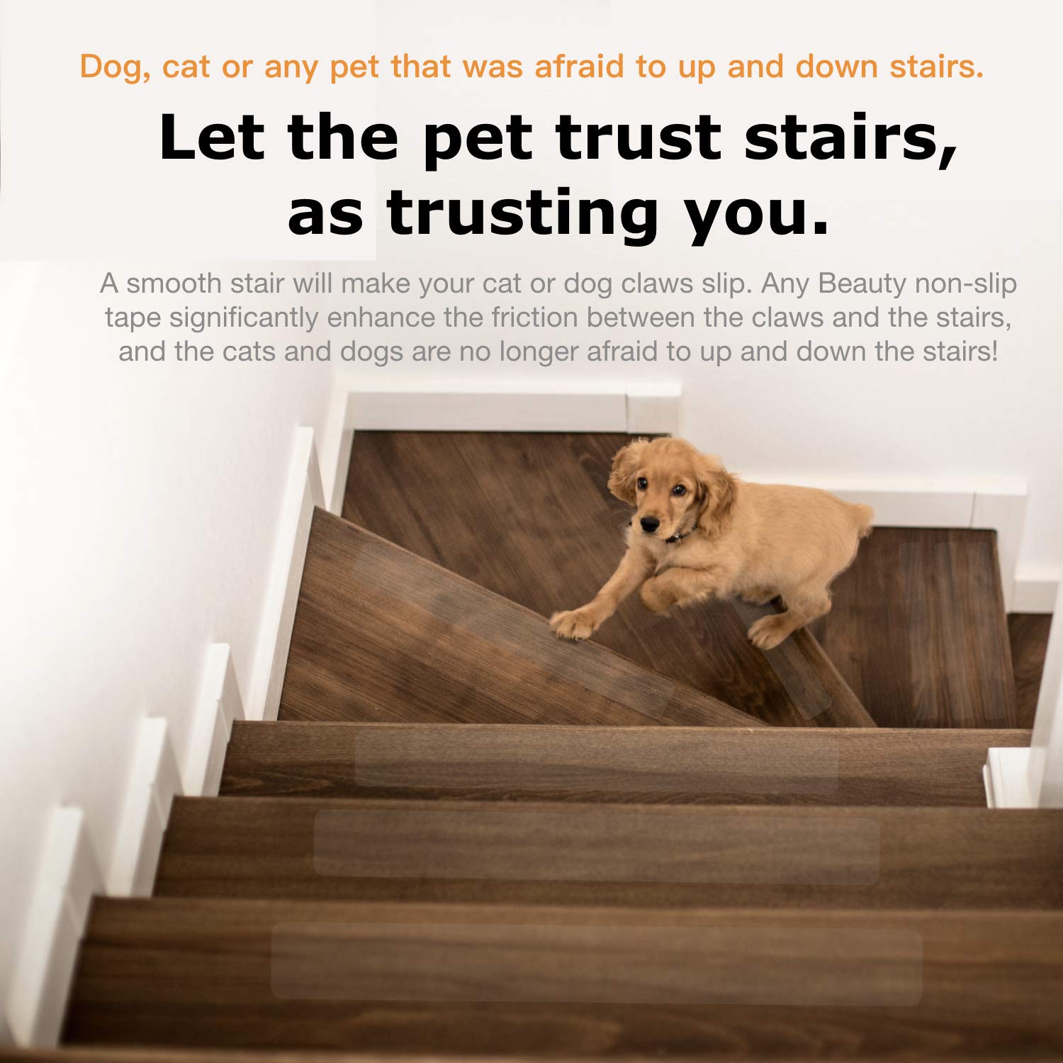 Any Beauty 15-Pack(4\