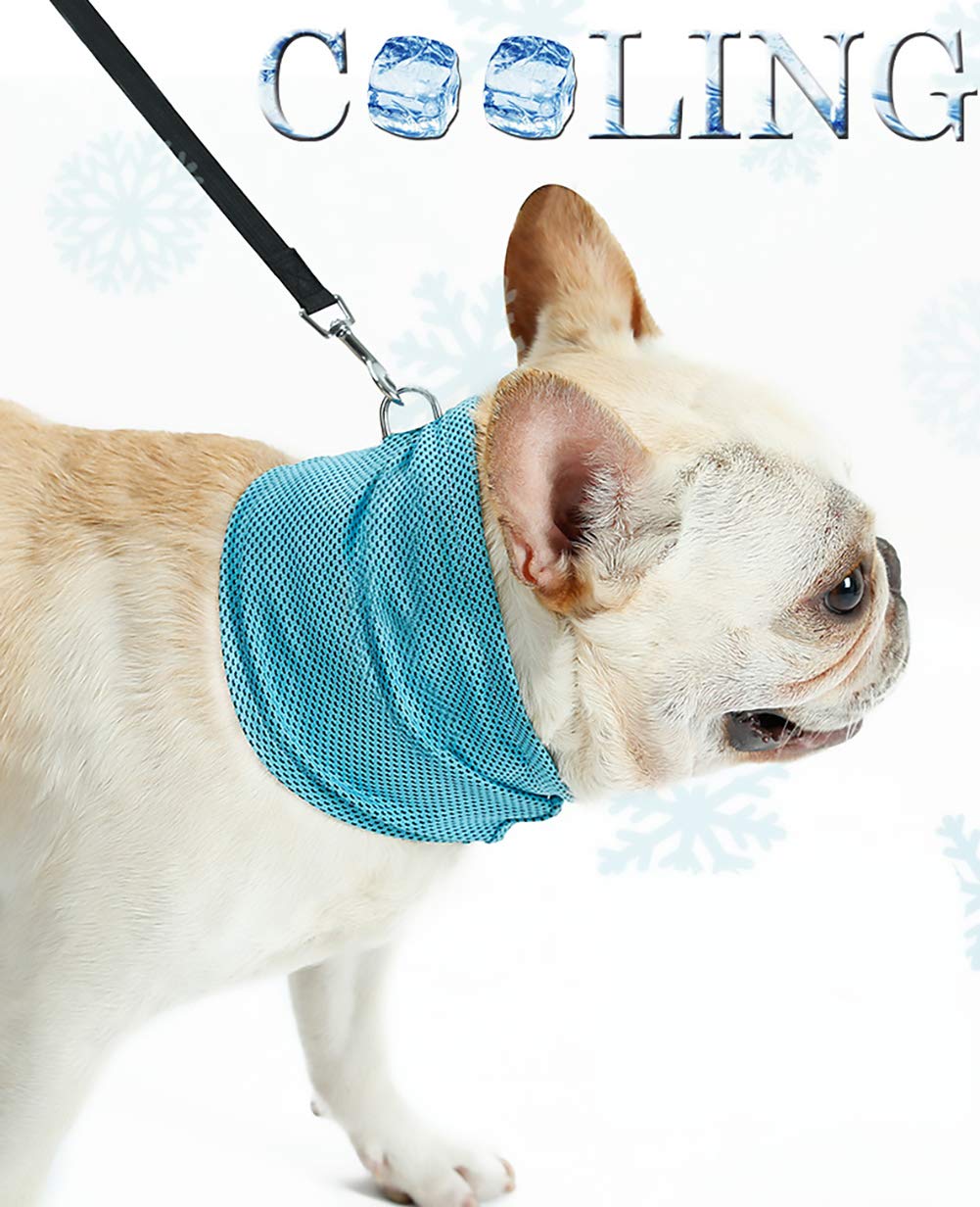 Which Is The Best Dog Cooling Bandana Ice Chill Out Scarf For Summer