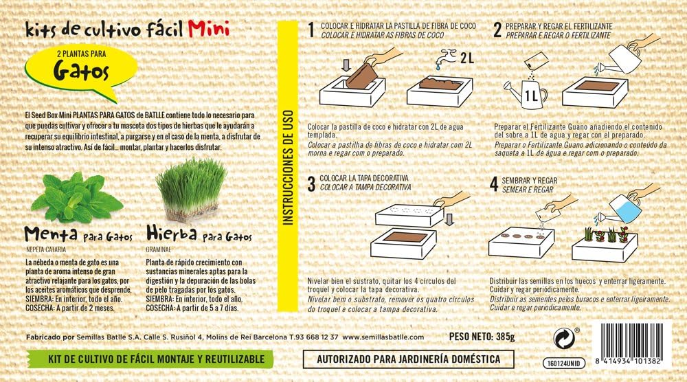 Huerto Urbano - Seed Box Mini Gatos - Batlle: Amazon.es: Jardín
