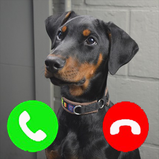 doberman funny pictures