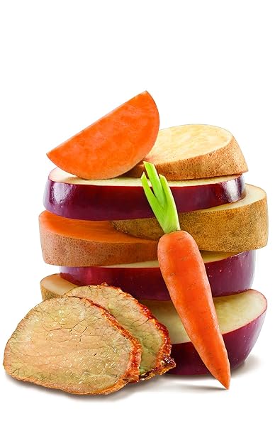 SPROUT ORGANIC BABY FOOD POUCHES STAGE 3, ROOT VEGETABLES APPLE W/ BEEF, 4 POUCHES (PACK OF 6)