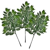 FUNORNAM 12Pcs Italian Ruscus Greenery Stems Artificial Silk Greenery Leaves Garland Vines Hanging Spray for DIY Wedding Arch Bouquet Filler Table Centerpieces Home Indoor Decor