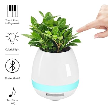 smart music flower pot bluetooth instructions