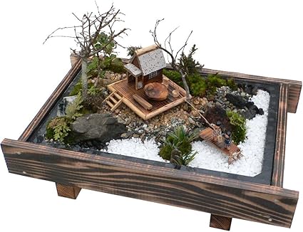 Amazon 盆栽 ミニ庭園 盆景 湖畔の宿 M あるまま 観葉植物 通販