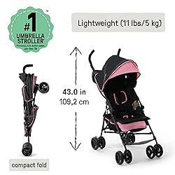 Ingenuity 3D Mini Convenience Stroller