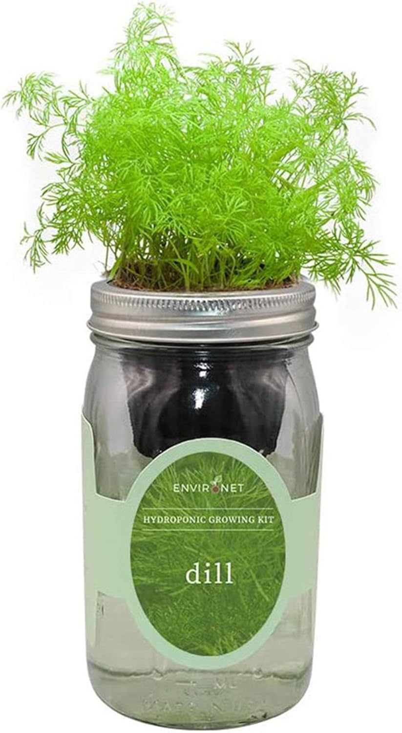 Amazon.com : Environet Hydroponic Herb Growing Kit, Self-Watering Mason